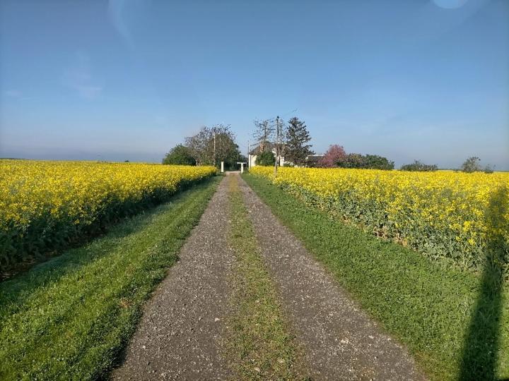 Studio " Tournesol " Au Coeur Du Berry Les Bordes Exteriér fotografie